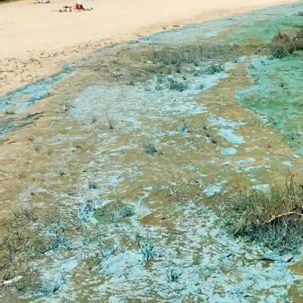 Дніпро у Кременчуці нагадує смарагди