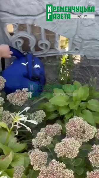 Залишили у рюкзаку під парканом: у Кременчуці врятували наляканого собаку, який знайшов нову родину