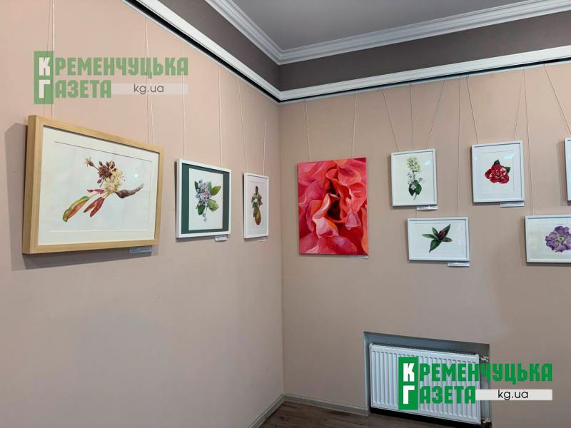 Мистецтво крізь призму природи та емоцій: у Кременчуці презентували виставки до Дня художника