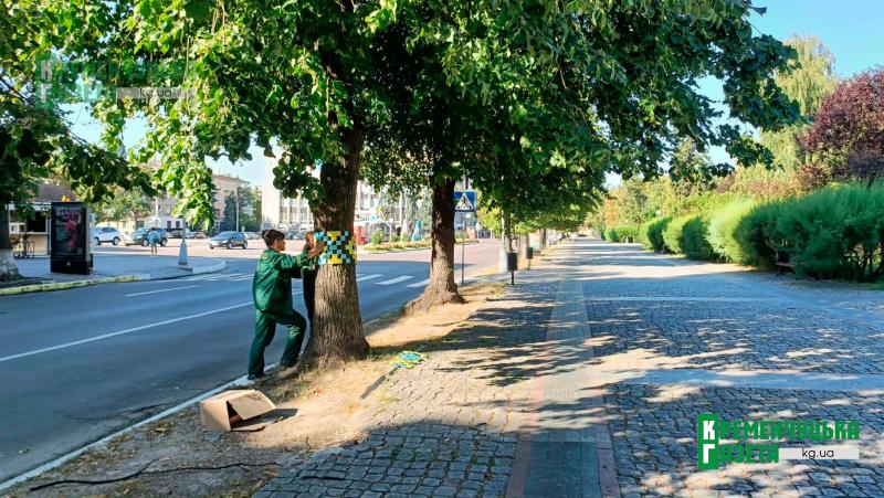 З соняшниками, аркою та «вишиванками» на деревах: як центр Кременчука готують до Дня Незалежності