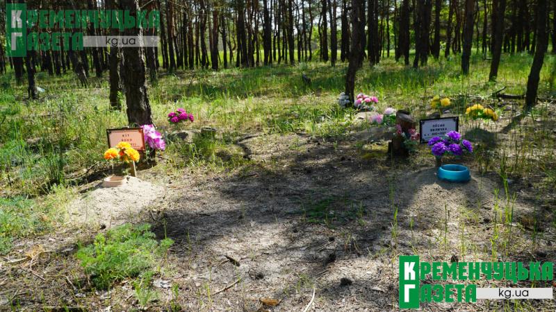 Тиха пам’ять у парку «Студентський»: як у Кременчуці існує неофіційне кладовище домашніх улюбленців