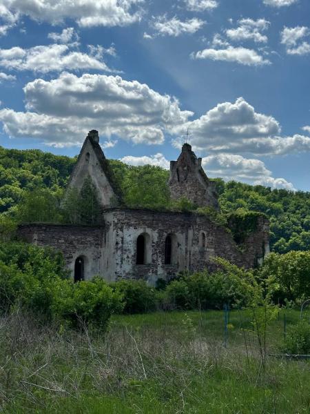 Містичне місто без людей і життя: чим журналістку Кременчуцької газети вразив замок на Тернопільщині