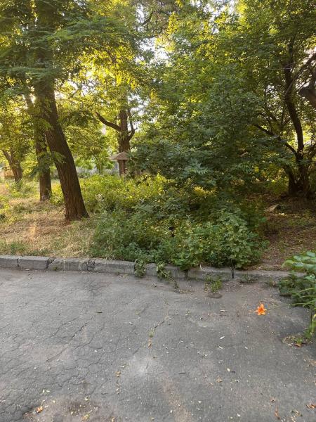 На допомогу комунальникам: мешканці будинку в центрі міста побоюються, що на їхньому подвір’ї в непокошеній траві заведуться змії