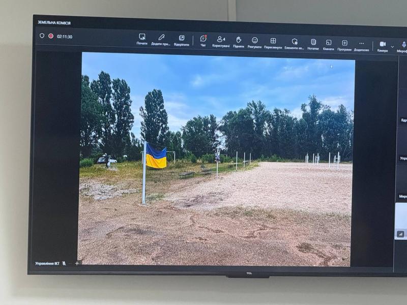 Кафе «Пальміра» можуть залишити землю лише на рік замість п'яти: депутати згадали старий конфлікт