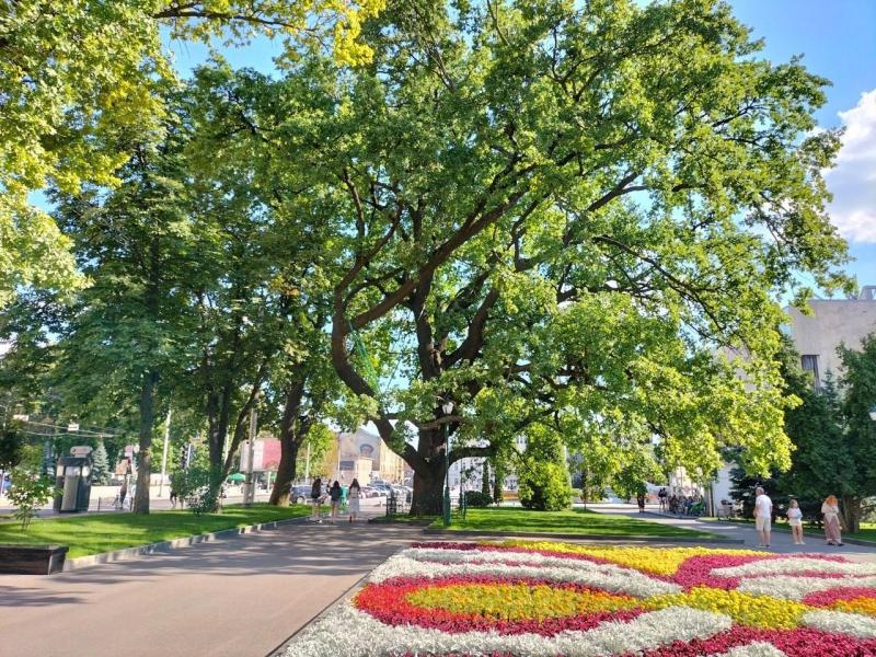 Харків за один день: Сумська, зоопарк, Саржин Яр і місто, яке продовжує жити
