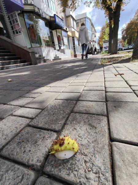 Після негоди — несподіваний поворот: що підкинув вересень Кременчуку на екваторі?