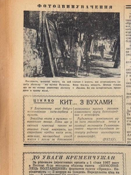 Занедбані паркани, подарунок книголюба та дебош в автобусі: яким був Кременчук 22 вересня 1966 року