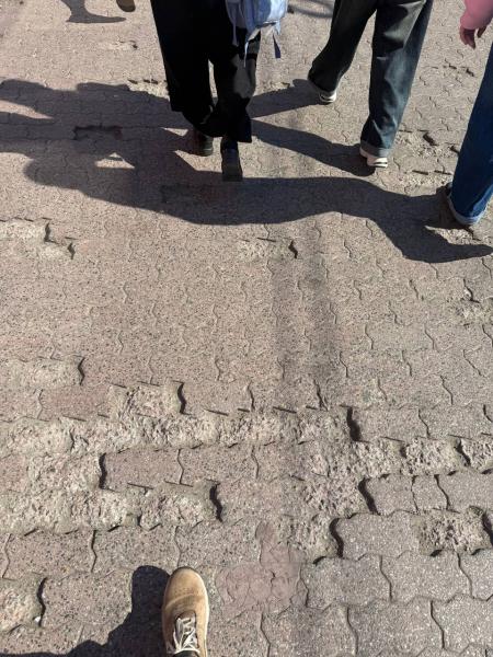 Коло навколо Центрального ринку Кременчука: переповнена урна, недопалки, обірвані дроти та занедбана зупинка