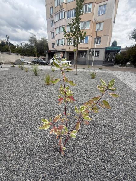 Лави, гойдалки, турнік, освітлення та нова дорога: у центрі Кременчука відкрили новий сквер