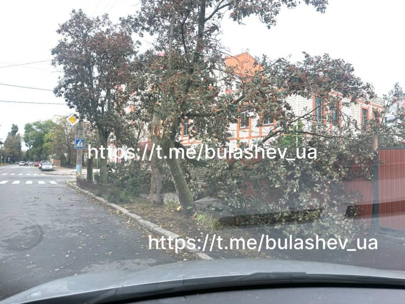 Повалені дерева та пошкоджені автівки: наслідки нічного буревію у Кременчуці та районі (Доповнюється)