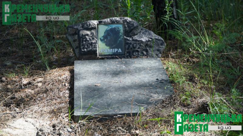 Тиха пам’ять у парку «Студентський»: як у Кременчуці існує неофіційне кладовище домашніх улюбленців