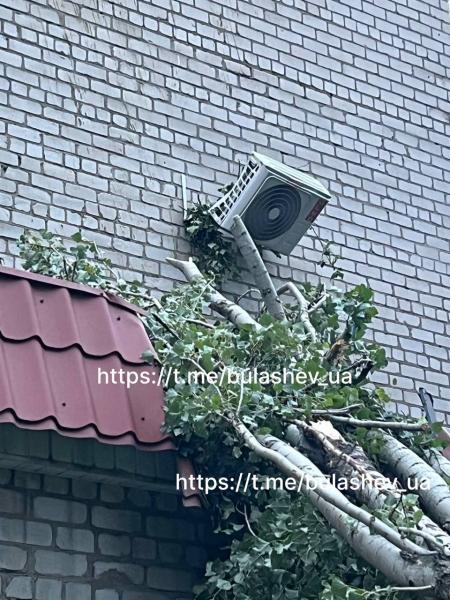 Повалені дерева та пошкоджені автівки: наслідки нічного буревію у Кременчуці та районі (Доповнюється)