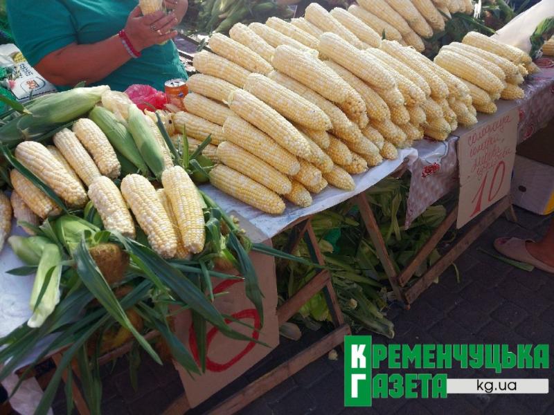 У Кременчуці – пік сезону кукурудзи: качани продають від 3 гривень
