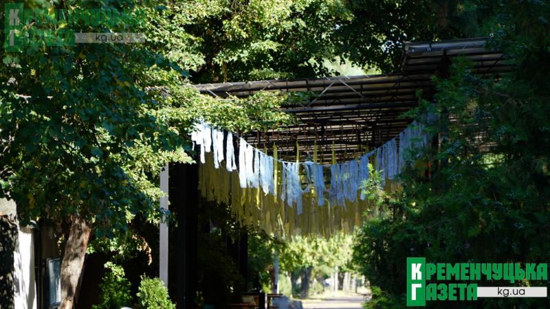 Живий океан вишиванок і синьо-жовті барви: як Кременчук відзначає 35-ту річницю Незалежності України