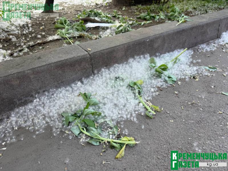 У Кременчуці при +25° місто «засипало» снігом