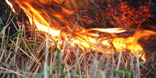 Під Кременчуком згоріло 4 га сухої трави