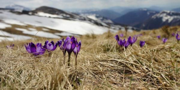 Завтра 1 березня: іменини, свята, прикмети