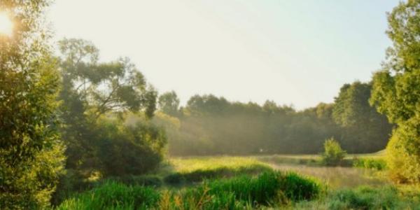Завтра, 21 серпня: іменини, свята, прикмети