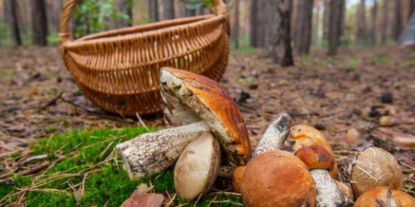 Завтра, 26 серпня: іменини, свята, прикмети