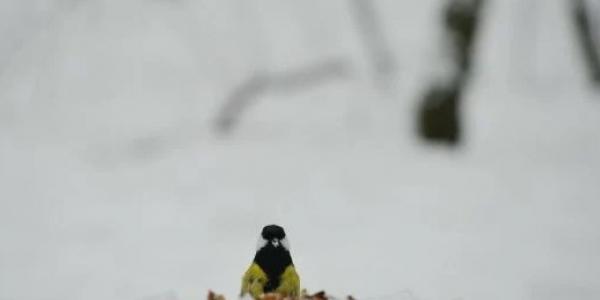 Завтра 14 січня: іменини, свята, прикмети