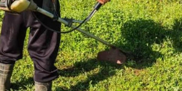 У «Житлорембудсервісі» спростували дані, озвучені в мерії: компанія звітує про 174 га скошеної території