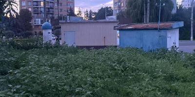 Бур'яни замість благоустрою: кременчуківці обурені занедбаною територією біля зупинки «Річковий вокзал»