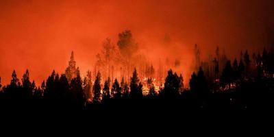 На Полтавщині на три дні оголосили надзвичайну пожежну небезпеку