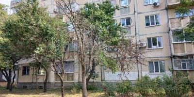 На Молодіжному сухе дерево чекає на комунальників