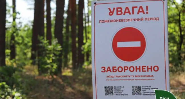 На Полтавщині до лісу зараз ходити не можна: загрожує штраф 