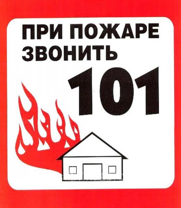 В Кременчугском районе пожарные спасли жилой дом