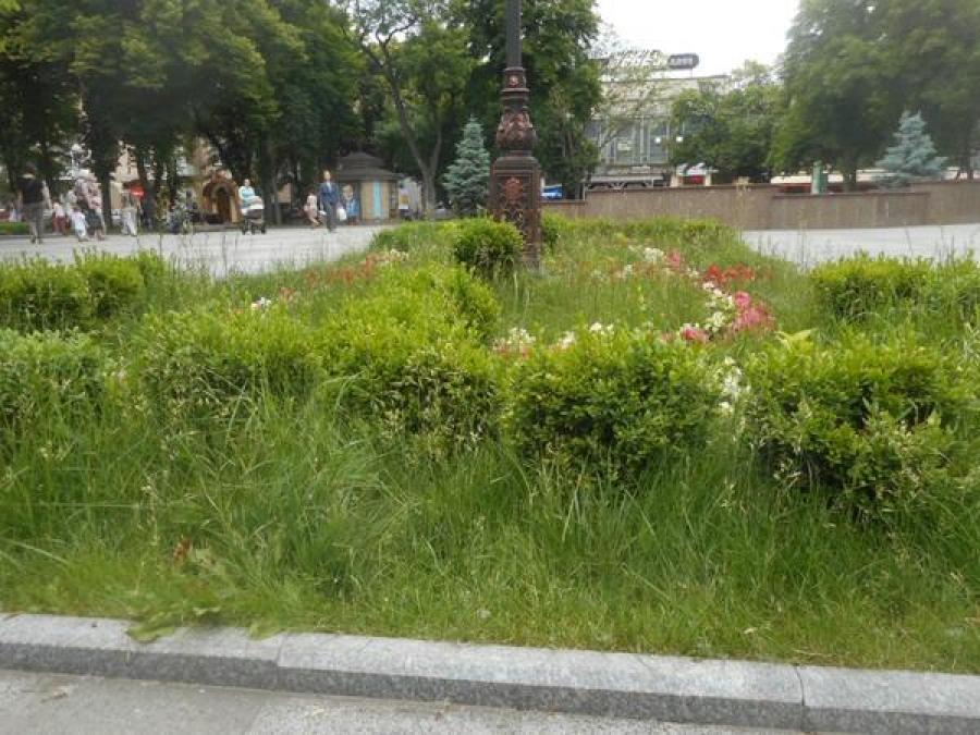 Последователи Бабаева превращают его детище в захолустье
