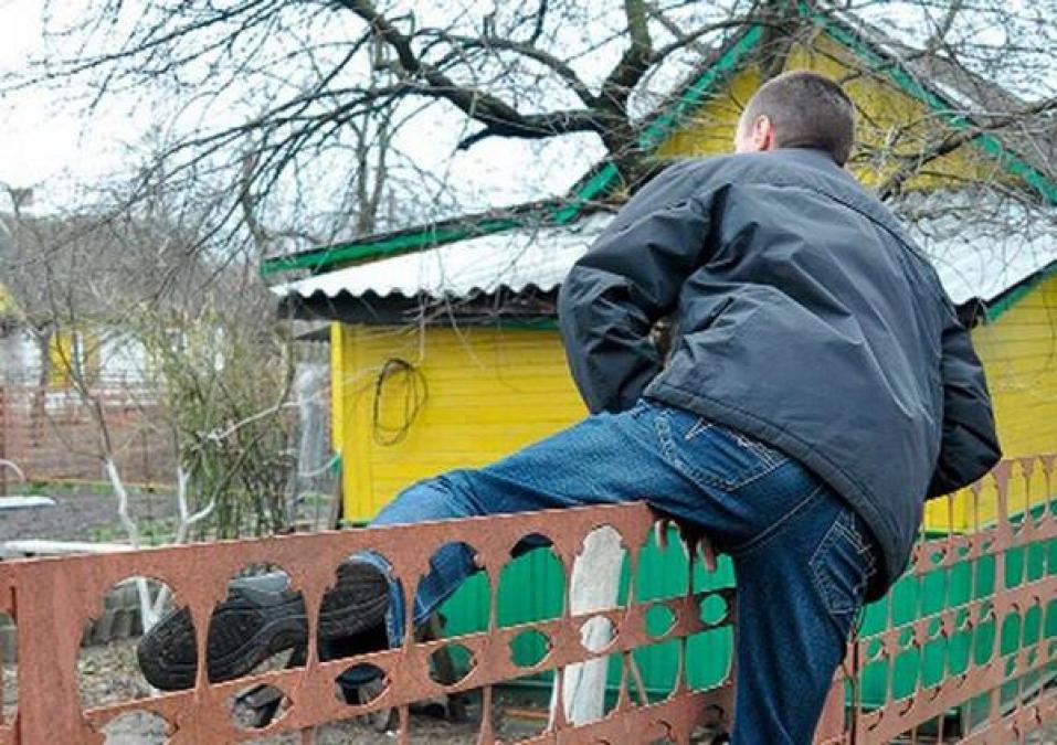 В Кременчуге задержали дачных воров