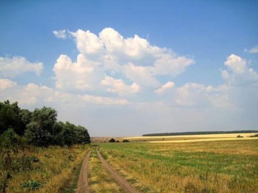 В Кременчуге на выходных будет настоящая жара