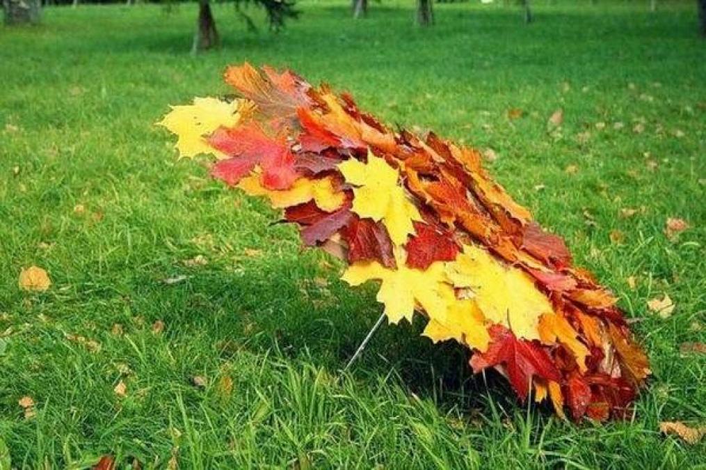 Предстоящие осень и зима будут теплыми