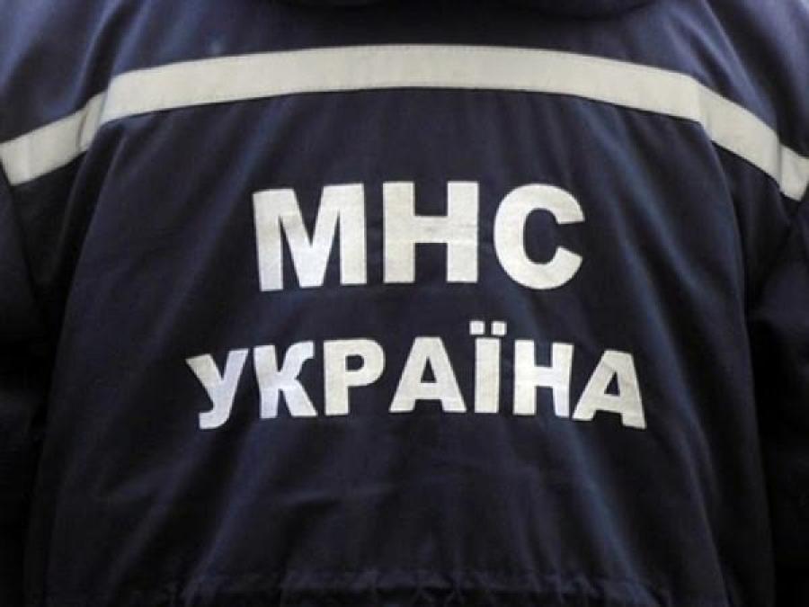 По Гагарина жильцы «потеряли» соседей, а нашли погибшего голубя