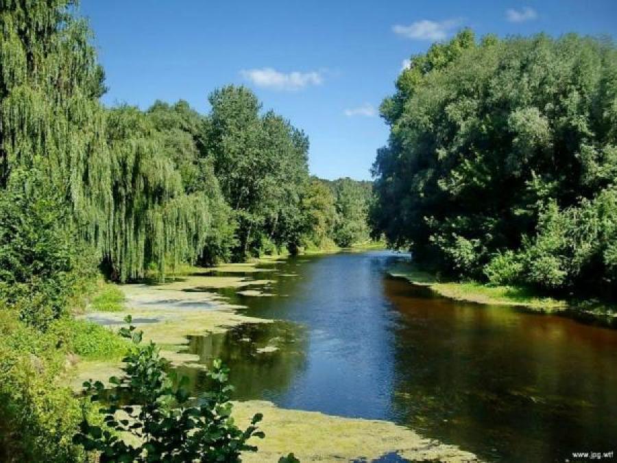В реке Сула возбудителей холеры и паразитов не обнаружено