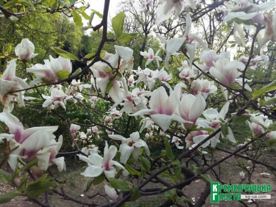 Тур выходного дня: «Киев – два в одном»	