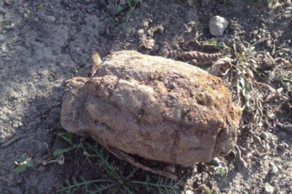 Под Кременчугом лесники нашли два сняряда