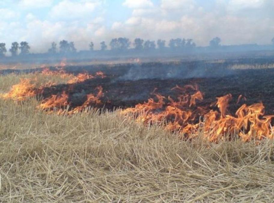 Кременчужане жалуются на запах гари в воздухе