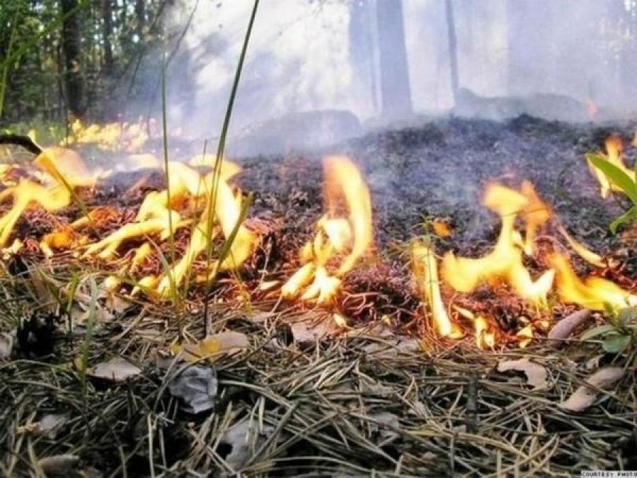 В Кременчуге повышены меры пожарной безопасности