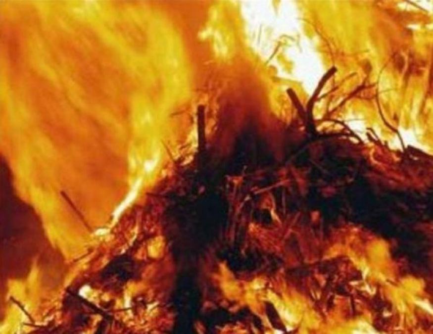 В Кременчуге сгорело 500 кг сена