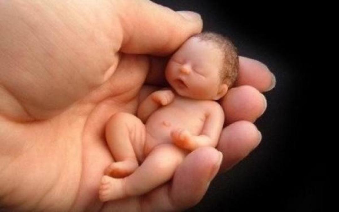 В Кременуге двух малышей родители оставили в роддоме