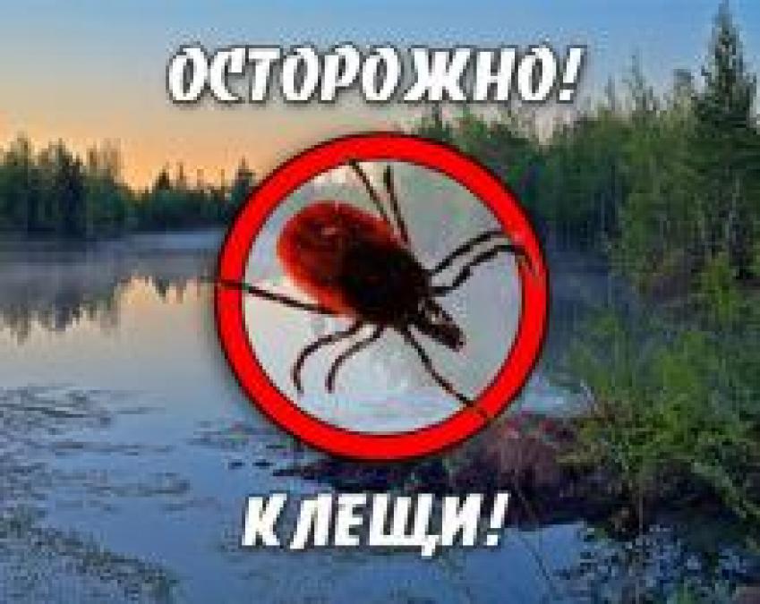 Кременчужанин заразился опасной болезнью Лайма