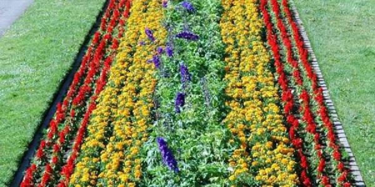 Возле «1000 мелочей» в Кременчуге появится клумба
