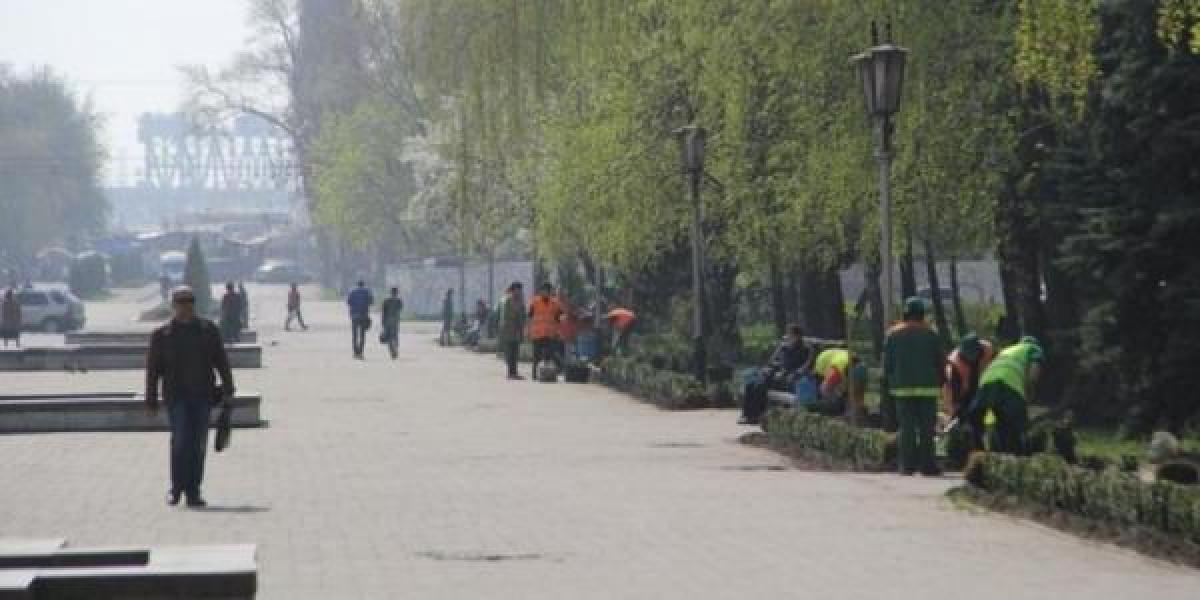 В Кременчуге появилось более десяти тысяч новых деревьев
