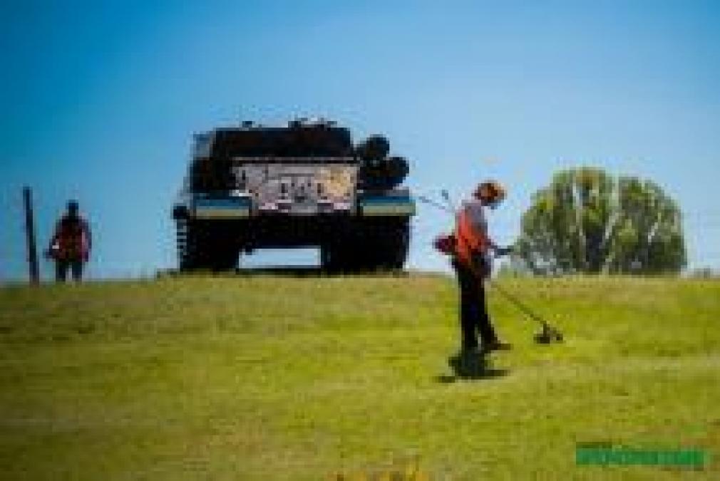 Фотофакт: как в Кременчуге стригут зелень