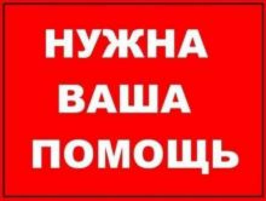Утерянные 9 Мая награды ждут хозяина