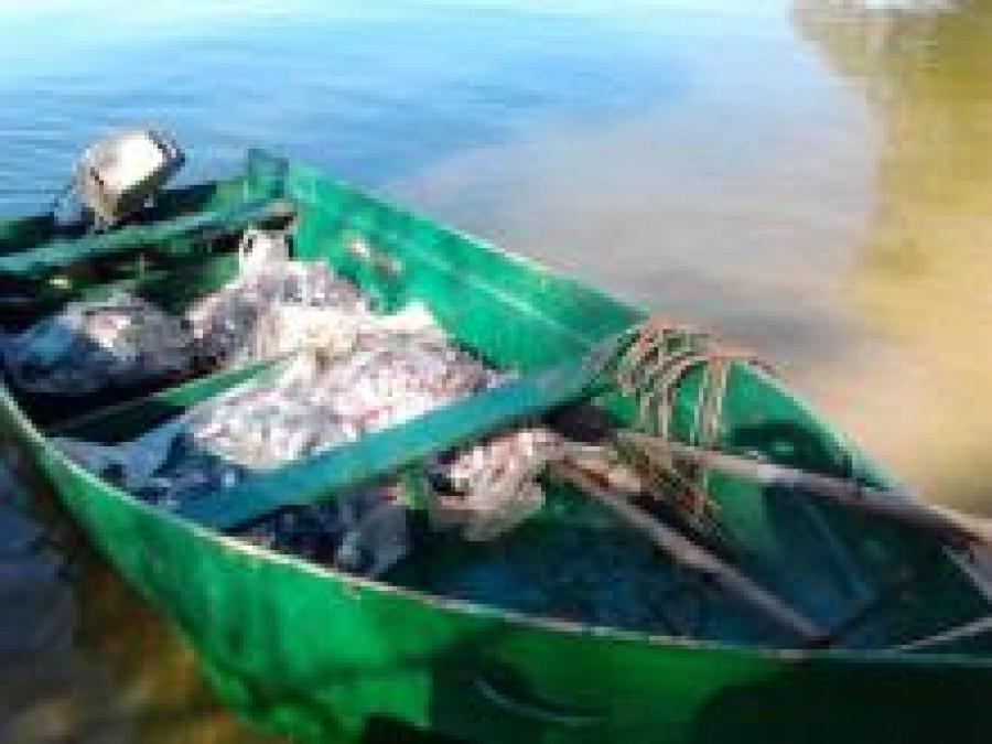 В Кременчугском водохранилище браконьеры вылови 200 кг рыбы