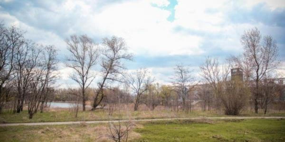 В горисполкоме считают, что парк «Комсомольский» лучше не застраивать