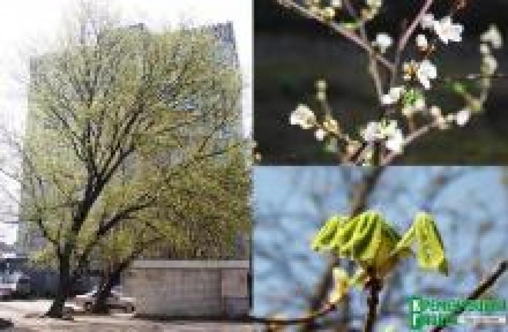 Кременчужане на выходных смогут насладиться летним теплом
